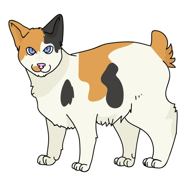 Netter Cartoon Japanese Bobtail cat Vektor Cliparts. Rasse Pedigree Kitty für Katzenliebhaber. Reinrassiges Calico-Hauskätzchen als Maskottchen für die Tierstube. Isolierte Katzenhauskatze. EPS 10. — Stockvektor