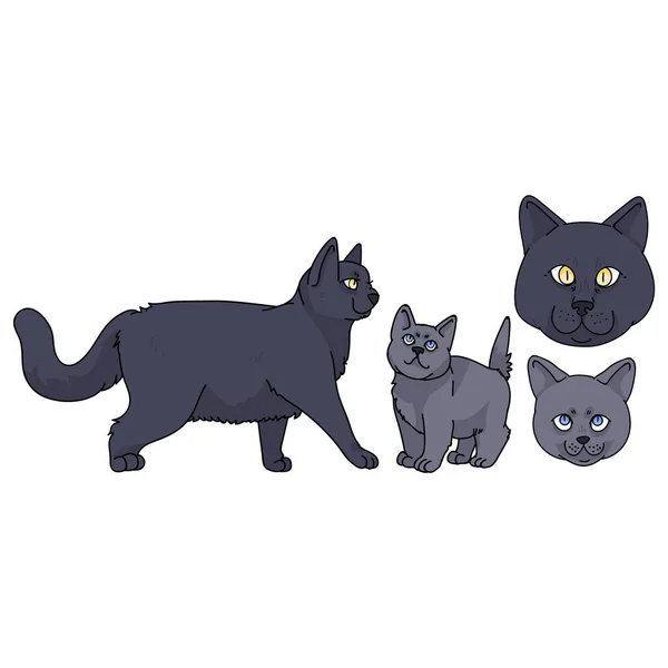 Netter Cartoon Britische Kurzhaarkatze und Kätzchen mit Gesichtsvektor Cliparts. Rasse Pedigree Kitty für Katzenliebhaber. Reinrassiges Hauskätzchen als Maskottchen für die Tierstube. Isolierte Katzen.. EPS 10. — Stockvektor