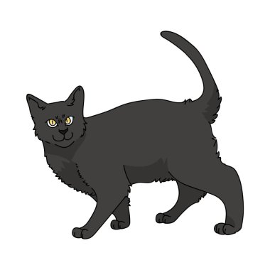Güzel çizgi film Bombay kedi vektör klibi. Kedi sevenler için soylu kedi yavrusu. Evcil hayvan salonu illüstrasyon maskotu için safkan siyah kedi yavrusu. İzole kedi barınağı. EPS 10.