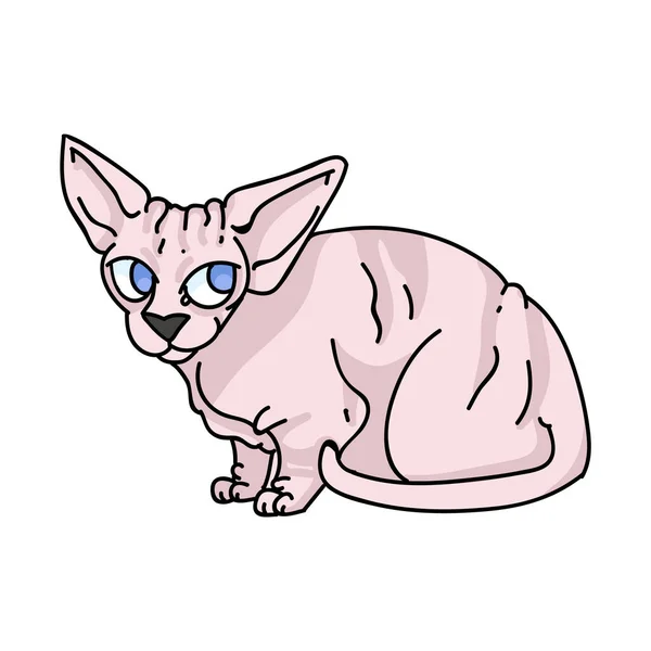 Netter Cartoon sphynx Kätzchen Vektor Cliparts. Stammbaum exotische Kätzchen Rasse für Katzenliebhaber. Reinrassige Hauskatze als Maskottchen für die Tierstube. Isolierte, haarlose Katzenhauskatze. EPS 10. — Stockvektor