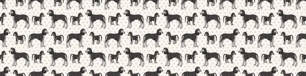 Cão saluki bonito desenhado à mão e cachorro raça padrão de borda sem costura. raça pura pedigree cão doméstico fundo. Amante de cães borzoi pet washi ribbon. Canil pooch EPS 10 . — Vetor de Stock