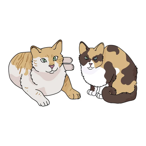 Netter Cartoon Tabby und Calico Cat Vector Clipart. Rasse Pedigree Kitty für Katzenliebhaber. Reinrassiges Hauskätzchen als Maskottchen für die Tierstube. Isolierte Katzenhauskatze. EPS 10. — Stockvektor