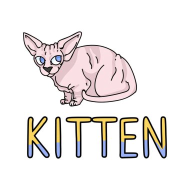 Metin vektör klipli şirin bir çizgi film kedisi. Kedi severler için soylu egzotik kedi yavrusu. Evcil hayvan salonu illüstrasyon maskotu için safkan evcil kedi. İzole edilmiş tüysüz kedi barınağı. EPS 10. 