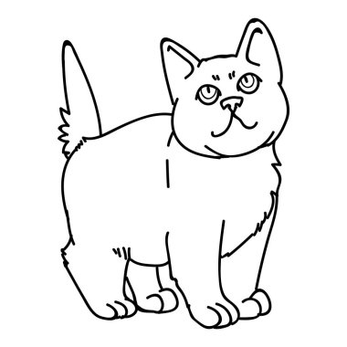 Şirin monokrom çizgi sanatı İngiliz kısa hava kedi yavrusu klipsi. Kedi sevenler için soylu kedi yavrusu. Evcil hayvan evi illüstrasyon maskotu için safkan kedi yavrusu. İzole kedi barınağı. EPS 10.