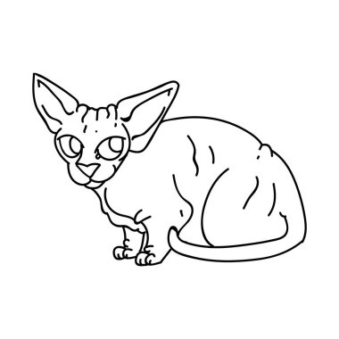 Sevimli çizgi film monokrom sfenks kedi yavrusu klipsi. Kedi severler için soylu egzotik kedi yavrusu. Evcil hayvan salonu illüstrasyon maskotu için safkan kedi koleksiyonu. İzole edilmiş tüysüz kedi barınağı..