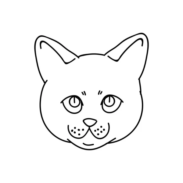 Schattige monochrome lineart Britse steno kitten gezicht vector clipart. Stamboom katje ras voor kattenliefhebbers. Gefokt huisdier kitten voor huisdier salon illustratie mascotte. Geïsoleerde katachtige huiskat. EPS 10 — Stockvector