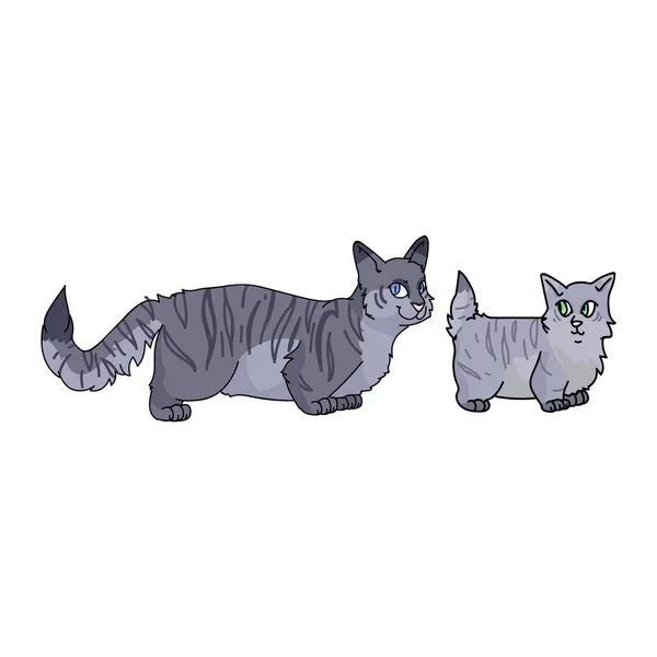 Roztomilá kreslená kočka nastavila vektorový klipart. Rodokmen koček pro milovníky koček. Čistokrevné šedé domácí koťátko pro maskota ilustračního salonu. Izolovaný kočičí housecat. EPS 10. — Stockový vektor