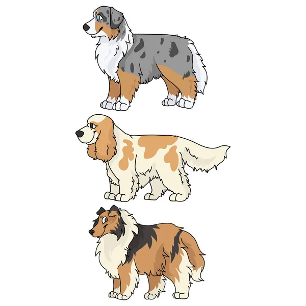 Lindo perro de dibujos animados crianza conjunto vector clipart. Crianza pedigrí perrera perrito para los amantes del perro. Perro de caza de raza pura Australian Shepherd, cocker spaniel y collie áspero ilustración. Perro de caza aislado . — Vector de stock