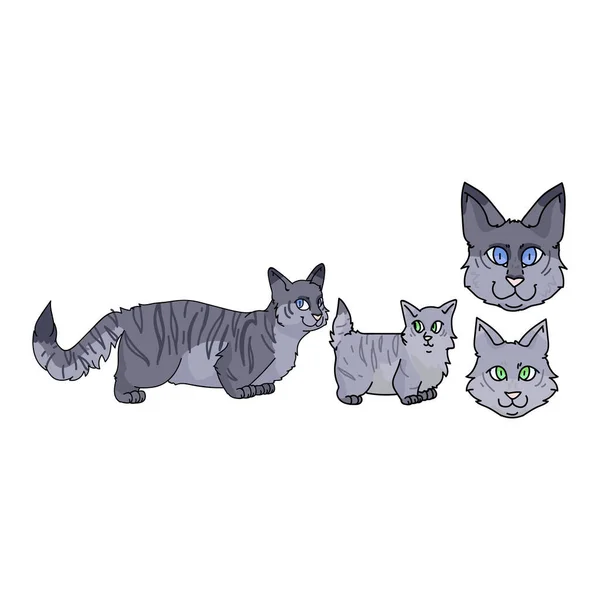 Netter Cartoon munchkin cat set Vektor Cliparts. Rasse Pedigree Kitty für Katzenliebhaber. Reinrassiges graues Hauskätzchen als Maskottchen für die Tierstube. Isolierte Katzenhauskatze. EPS 10. — Stockvektor