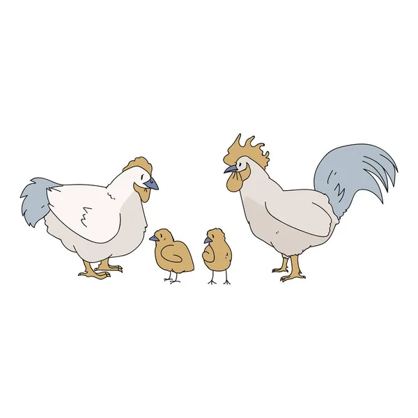 Linda granja francesa pollo familia vector clipart. Aves de corral de estilo rústico dibujado a mano. Ilustración de pollo, pollo y gallo estilo country para gráficos de granja EPS 10 . — Archivo Imágenes Vectoriales