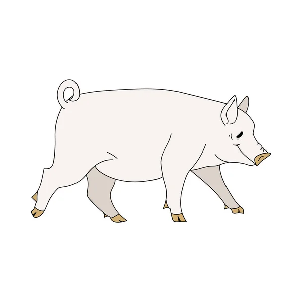 Симпатичный векторный клипарт французской фермы. Ручная потрёпанная шикарная деревенская кухня. Иллюстрация сельскохозяйственных животных свинины животноводства ранчо графики. EPS 10 . — стоковый вектор