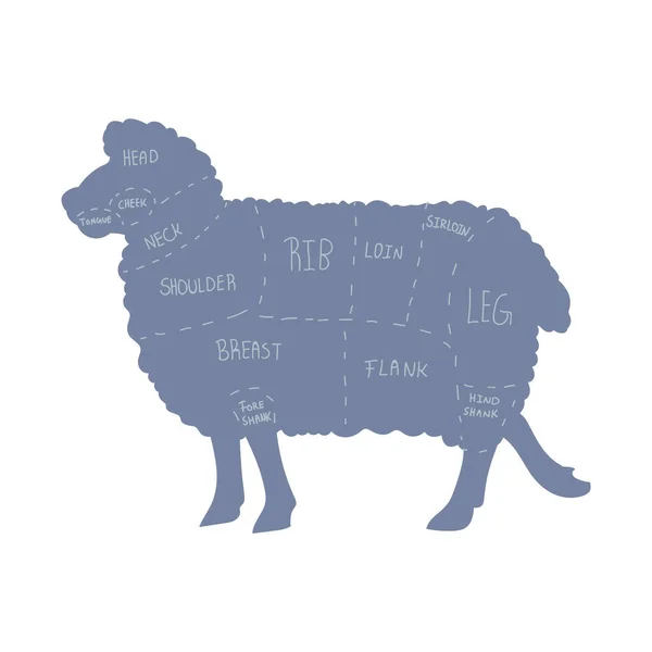 Cute french farmhouse sheep butcher chart vector clipart. Hand drawn shabby chic style country farm kitchen. Illustration of mutton farm animal livestock ranch graphic. Lamb graphic EPS 10. — Stock Vector