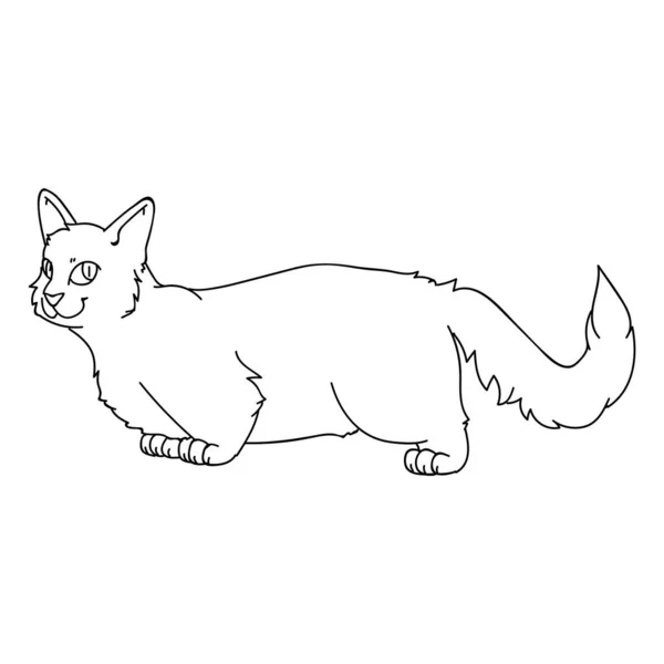 Lindo dibujo animado munchkin gato lineart vector clipart. Cría de gatitos pedigrí para los amantes del gato. Gatito doméstico gris de pura raza para mascotas monocromáticas ilustración de salón mascota. Un felino aislado. EPS 10 . — Archivo Imágenes Vectoriales