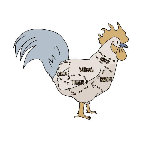 Carino francese fattoria gallo macellaio grafico vettore clipart. Stile shabby chic disegnato a mano campagna fattoria cucina. Illustrazione grafica del ranch zootecnico di allevamento di polli. Grafica giovenca EPS 10 . — Vettoriale Stock