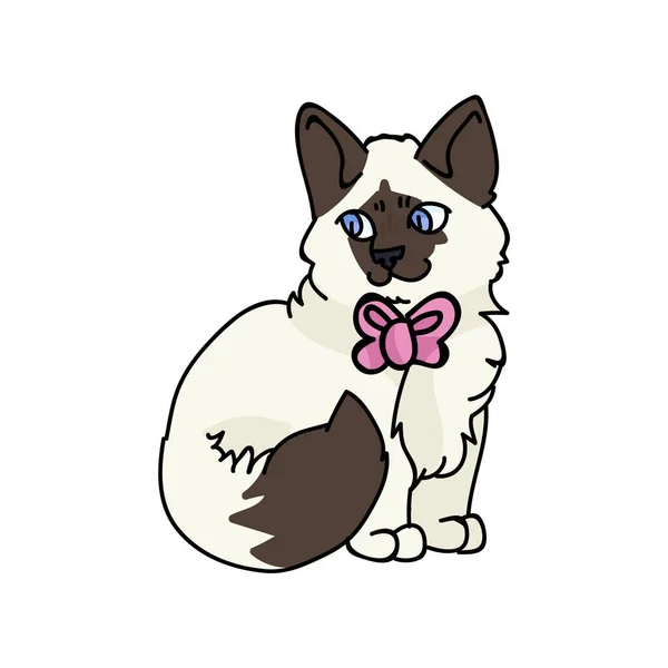 Cute ragdoll kreskówki kotek z różowym wektorem łuku clipart. Rodowód kotek rasy dla miłośników kotów. Czysty kot domowy do salonu zwierzaków ilustracji maskotka. Odizolowany kot domowy. EPS 10. — Wektor stockowy