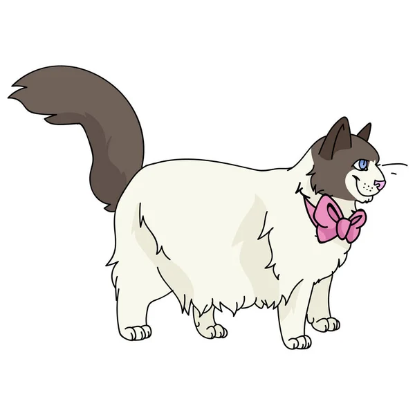 ピンクの弓ベクトルクリップとかわいい漫画のラグドール猫。猫好きのための血統子猫。ペットパーラーイラストマスコットのための純国産猫。隔離された強制収容所だ。EPS 10. — ストックベクタ