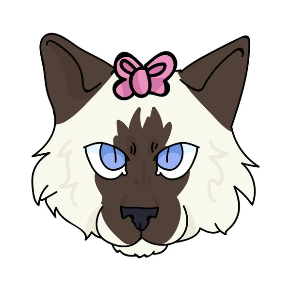 Carino cartone animato ragdoll faccia gattino con rosa fiocco vettore clipart. Gattino di razza pedigree per gli amanti dei gatti. Gatto domestico purosangue per pet salone illustrazione mascotte. Casalinga felina isolata. EPS 10 . — Vettoriale Stock