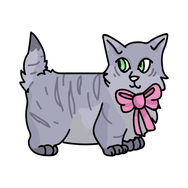 Cute cartoon munchkin kitten with pink bow vector clipart. Pedigree kitty breed for cat lovers. Purebred grey domestic cat for pet parlor illustration mascot. Isolated feline housecat. EPS 10. — Stock Vector