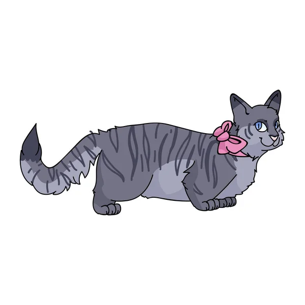 Roztomilý karikatura munchkin kočka s růžovým lukem vektorové kliparty. Rodokmen koček pro milovníky koček. Čistokrevné šedé domácí koťátko pro maskota ilustračního salonu. Izolovaný kočičí housecat. EPS 10. — Stockový vektor