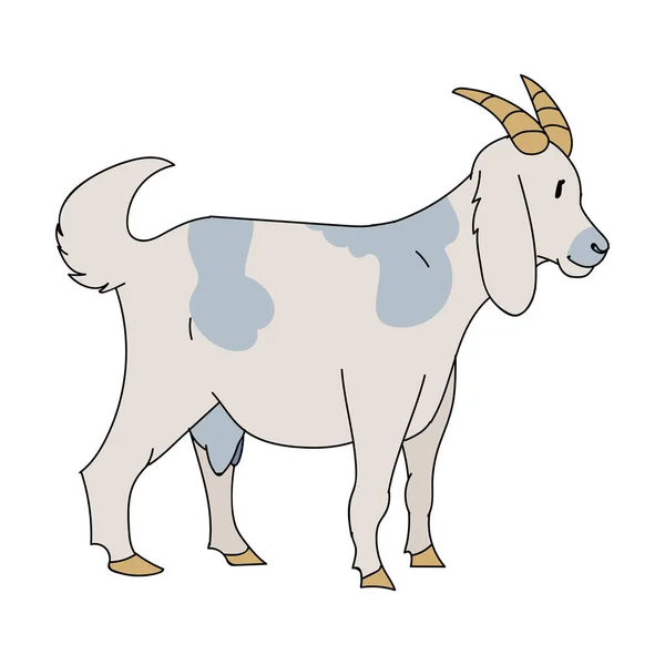 Leuke Franse boerderij geit vector clipart. Met de hand getekend shabby chique stijl boerderijkeuken. Illustratie van het grafische beeld van de veehouderij van Chevron. Gehoornde grafische EPS 10. — Stockvector