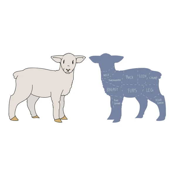 Cute french farmhouse lamb with butcher chart vector clipart. Hand drawn shabby chic style country farm kitchen. Illustration of mutton farm animal livestock ranch graphic. sheep graphic EPS 10. — Stock Vector