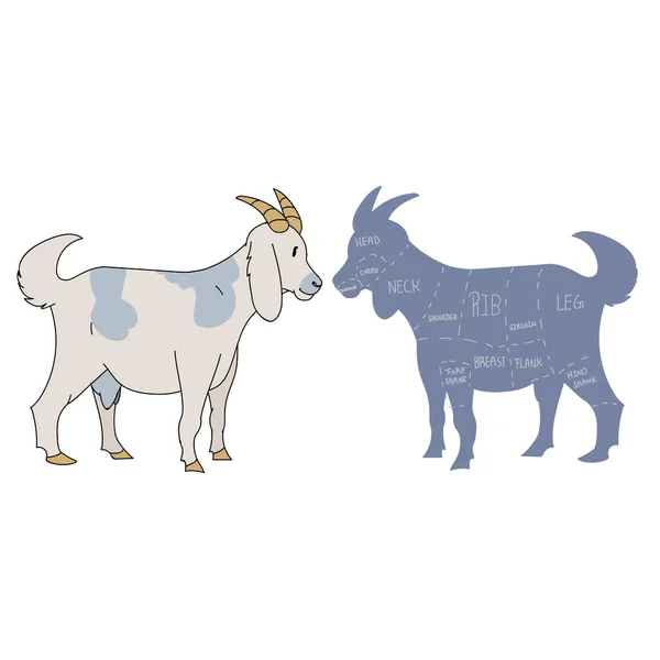 Симпатичный французский фермерский козел с вырезанным векторным клипартом. Ручная потрёпанная шикарная деревенская кухня. Иллюстрация фермерского животноводческого ранчо Шевона. Рогатая графика EPS 10 . — стоковый вектор