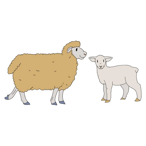 かわいいフランスの農家の羊や子羊のベクトルclipart 。手はみすぼらしいシックなスタイルのカントリーファームキッチンを描いた。羊肉農場動物牧場グラフィックのイラスト。子羊のグラフィックEPS 10. — ストックベクタ