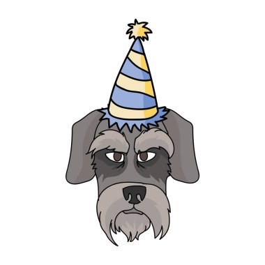Parti şapkası klipli şirin çizgi film Schnauzer köpek suratı. Sedigree köpek yavrusu. Kutlama illüstrasyon maskotu için safkan köpek yavrusu teriyeri. İzole edilmiş köpek dişi İngiliz av cinsi.