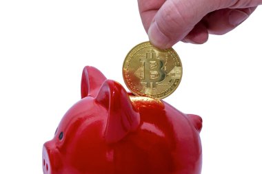 Domuz kumbarası, el altın bitcoin 'leri sanal para paralarını tutuyor. Kripto para birimi ve koruma, yatırım ve birikim kavramı. Yakın plan. Resim beyaz bir arkaplanda izole edilmiştir.