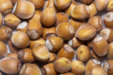 Fındık. Doğal arka plan. Fındık dokusu. Sağlıklı beslenme ve diyet kavramı.
