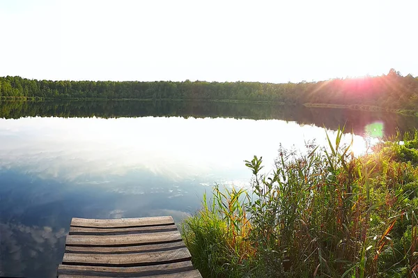 Costa de um lago florestal — Fotografia de Stock