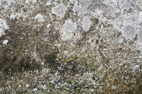 Textura de pedra velha. Contexto — Fotografia de Stock