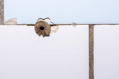 Döşemeleri ve ahşap kaplamaları olan bir duvar. Arka plan dokusu olarak. Konsept: Tamir, eski fayans.