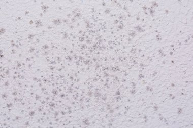 Beyaz bir duvarda siyah lekeler, zehirli küf ve mantar bakterileri. Yoğunlaşma, nem, su sızıntısı, yüksek nem ve solunum sorunları kavramı.