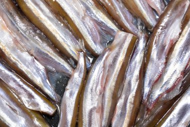 Soyulmuş kapelinli balık. Soyut gıda geçmişi. Tavada taze balık pişmeye hazır..