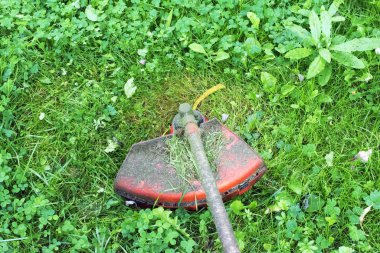 Benzinli çim makası sulu yeşil çimenlerin üzerinde bir çim, yakın çekim resmin mows