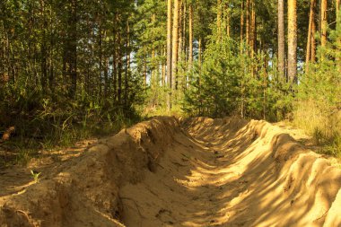 Ormandaki yangın hendeği