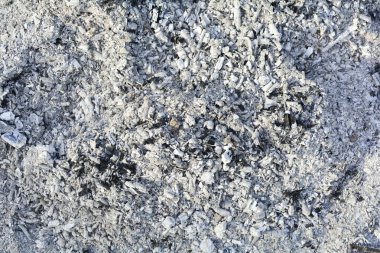 Küllerin dokusu. Yanmış ahşabın doğal gri arka planı. Yanmış kömür.