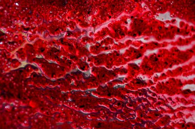 Mikserin duvarında kırmızı rendelenmiş böğürtlen var. Soyut kırmızı arkaplan ve doku.