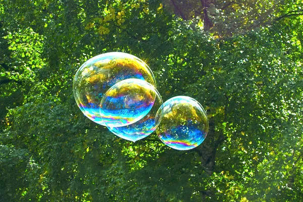 Bolhas de sabão no fundo das árvores. foco suave . — Fotografia de Stock