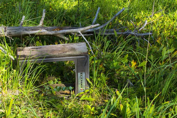 Viejo televisor en la hierba — Foto de Stock
