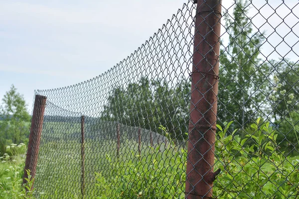 Green vegetation behind a metal wire mesh fence. Old rusty grid and metal pipes with greens on a blurred background. Temporary or old fencing. — Stock Photo, Image