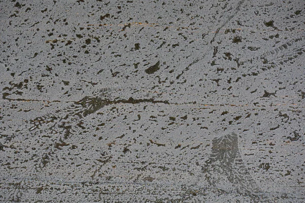 湿淋淋的沥青路面在大雨后容易集中。 摘要背景. — 图库照片