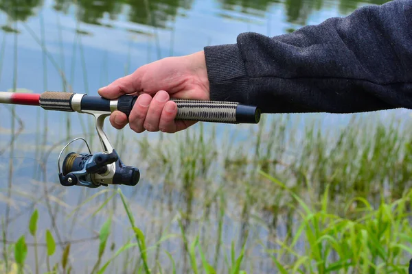 Hand holds fishing rod with reel on the background of the river and river plants. — 스톡 사진