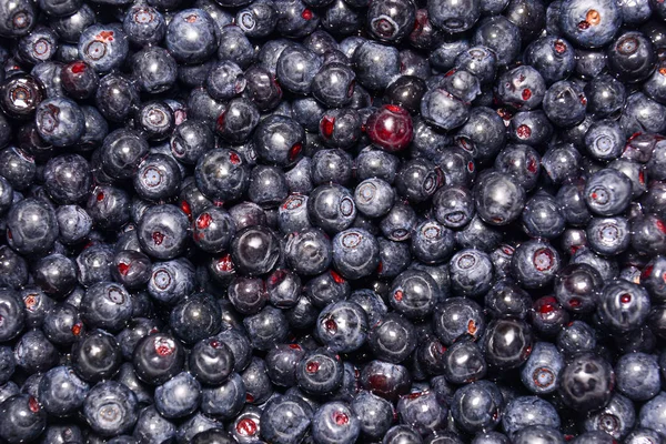 Fresh blueberry berries. A close-up. Natural background. Blueberries improve vision. — 스톡 사진