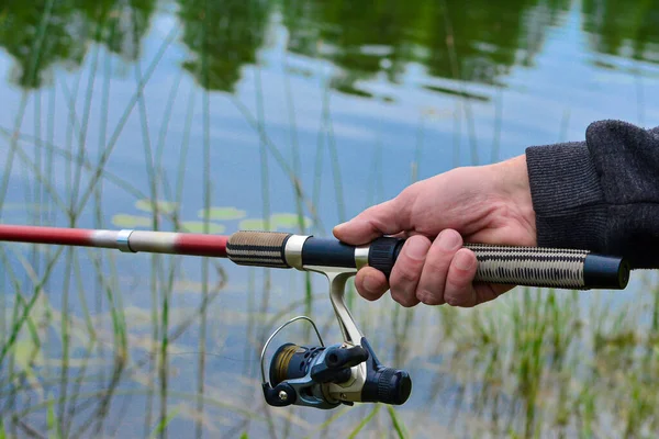 Hand holds fishing rod with reel on the background of the river and river plants. — Stock Photo, Image