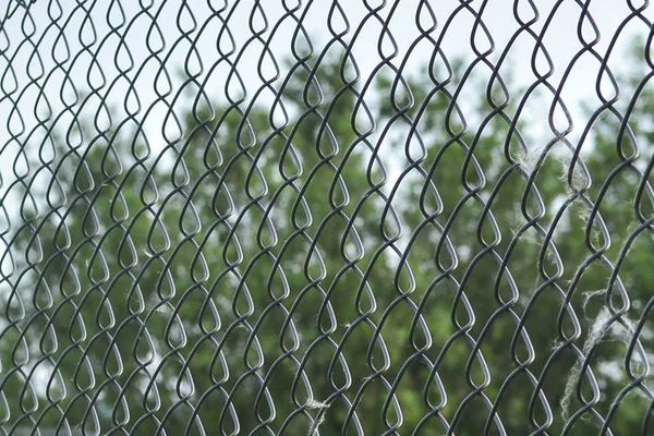 Metal mesh netting close-up. Rabitz. Close up. background. Abstraction. Mesh netting in perspective on a green background as a background. Rabitz Grid Close up on Green Background of Garden. — Stock Photo, Image
