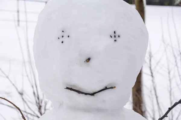 Ritratto di pupazzo di neve in un parco cittadino. Primo piano del volto di un pupazzo di neve . — Foto Stock