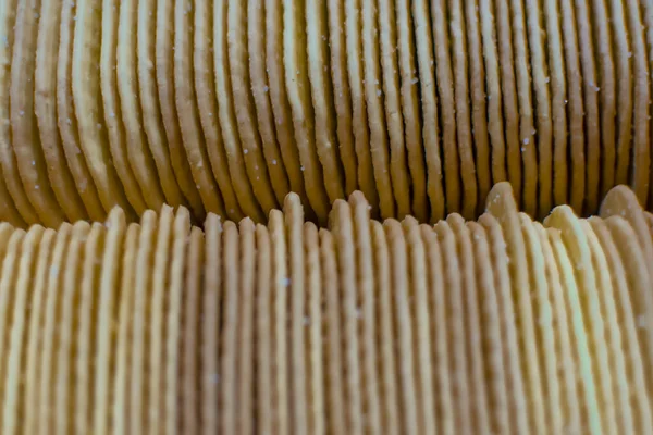 Abstraktní pozadí sušenek. Jemné soustředění. Suché soubory cookie zblízka. — Stock fotografie