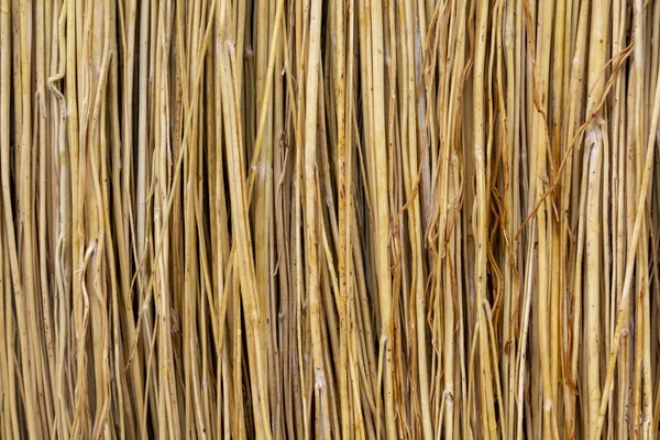 Broom textur, sorghum stjälkar närbild, konsistens bakgrund. Illustration för presentation bakgrund tyg prydnad eller design koncept. — Stockfoto